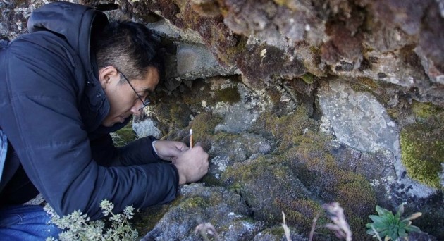 Descubren en el Iztaccíhuatl al “oso de agua con estrellas”: el Minibiotus citlalium