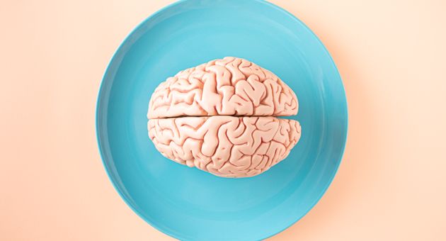 Mucho estrés, poca memoria: Así le afecta al cerebro vivir al límite